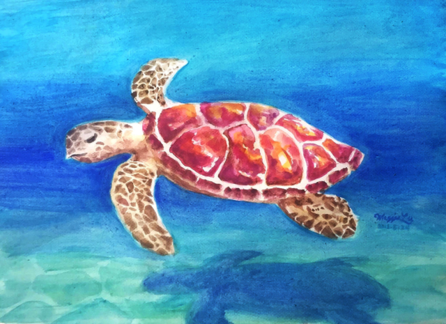 sea turtle painting