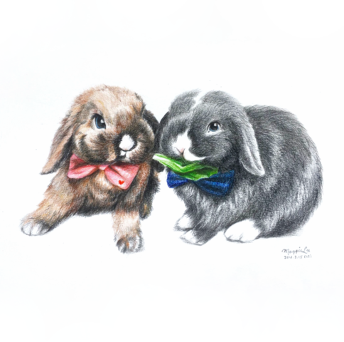 bunny rabbit pet portrait artist